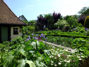 Unser Gemüsegarten